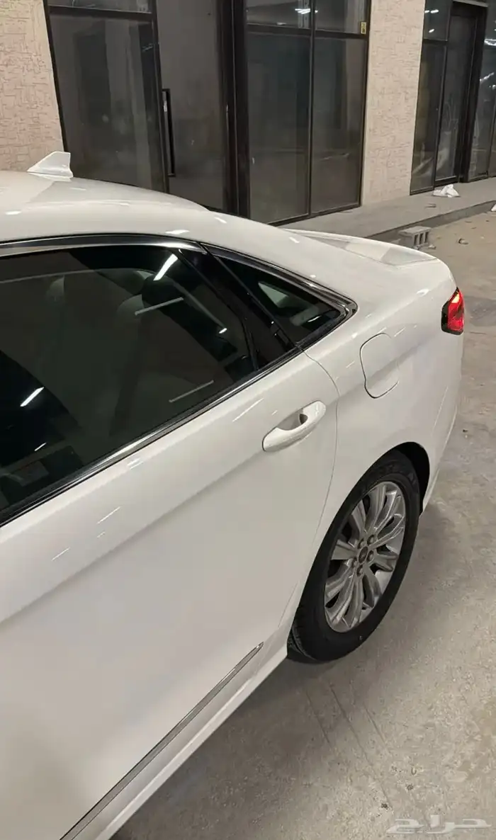 تورس 2020 8