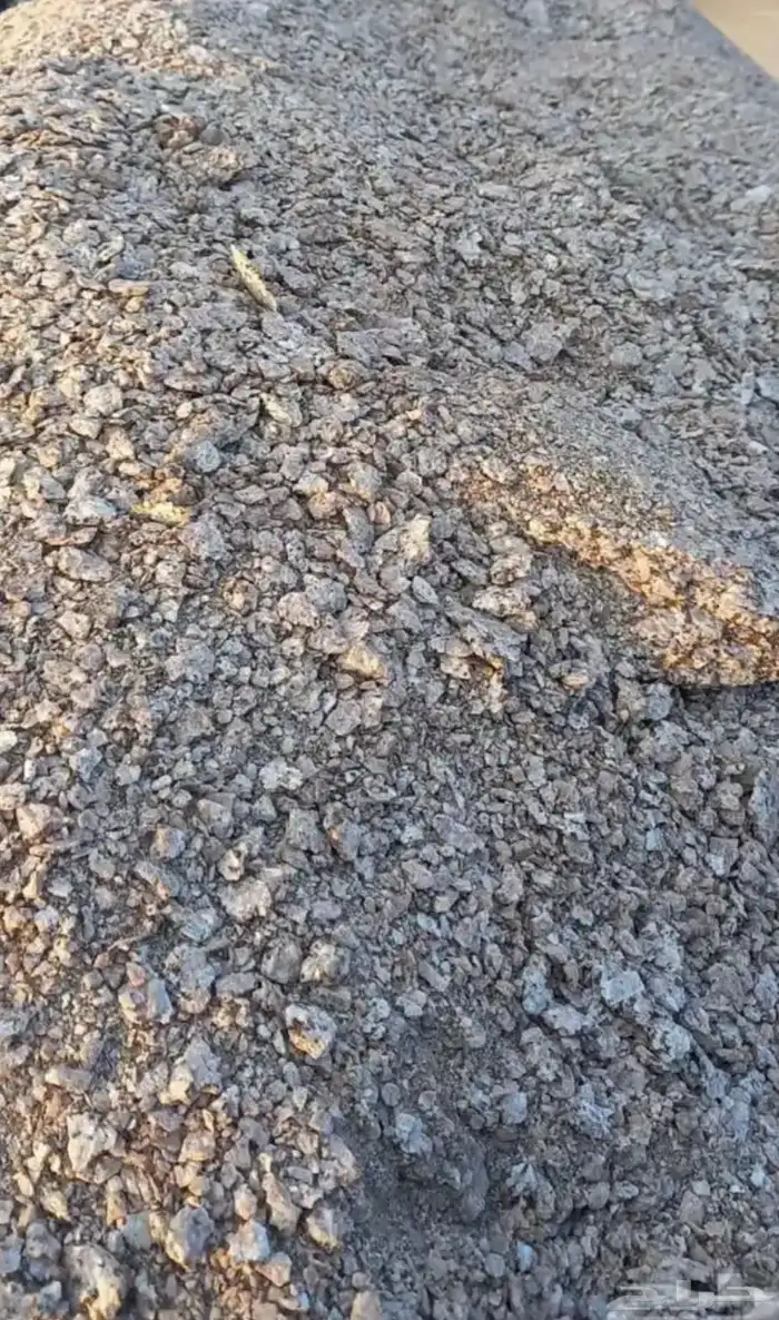 خرسان جرش ابيض 0