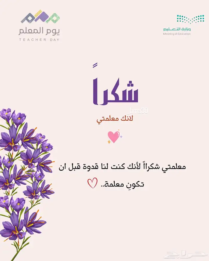 مصممة جرافيك 0