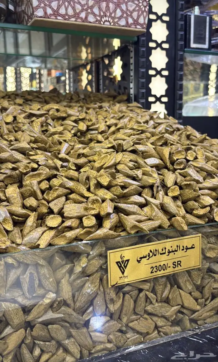عود جملة الجمله 13