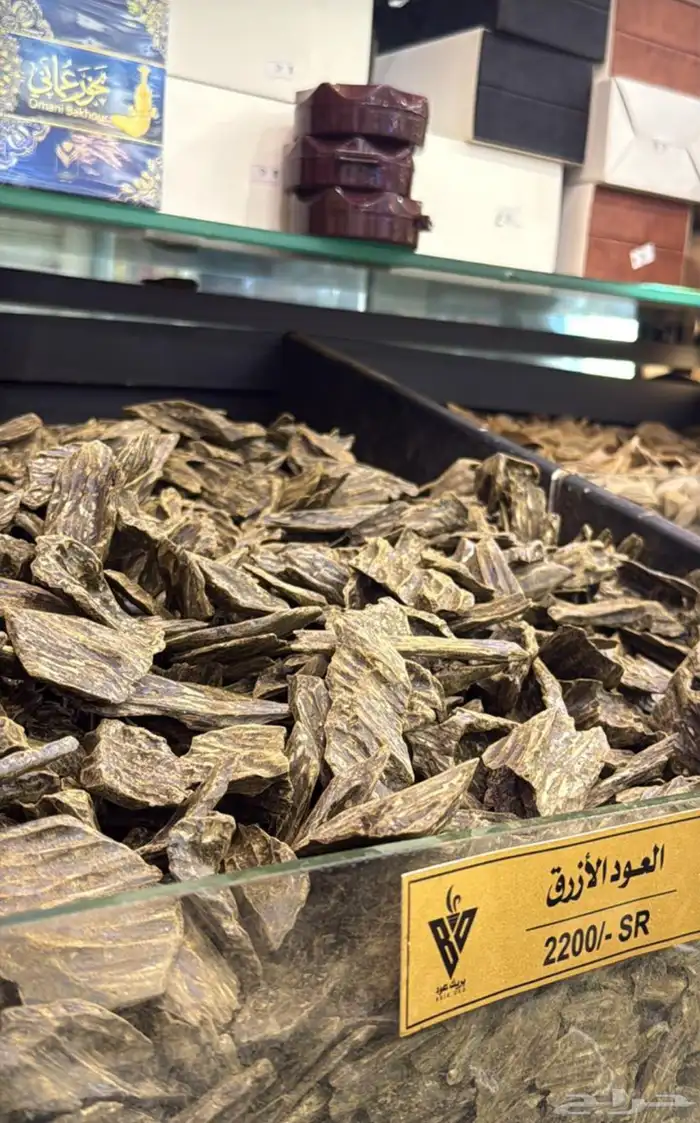 عود جملة الجمله 14