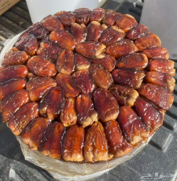 برني وكعيمر حبه فاخر 0
