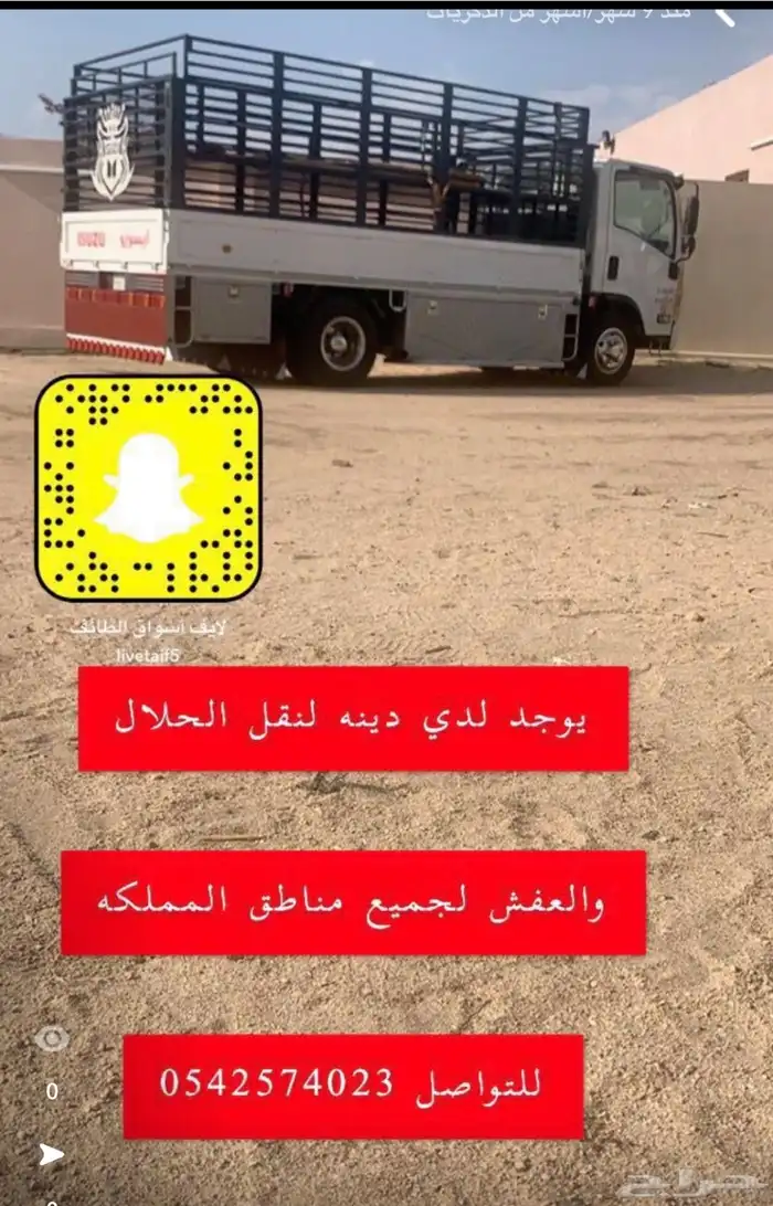 دينه الايجار 1