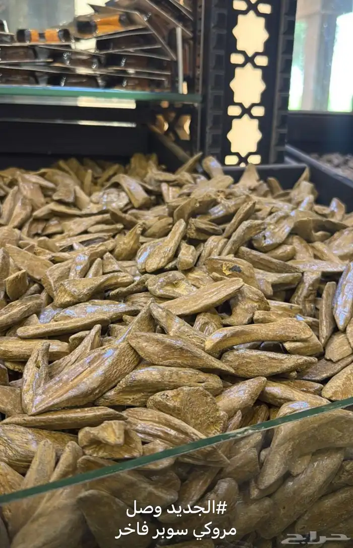 عود جملة الجمله 11