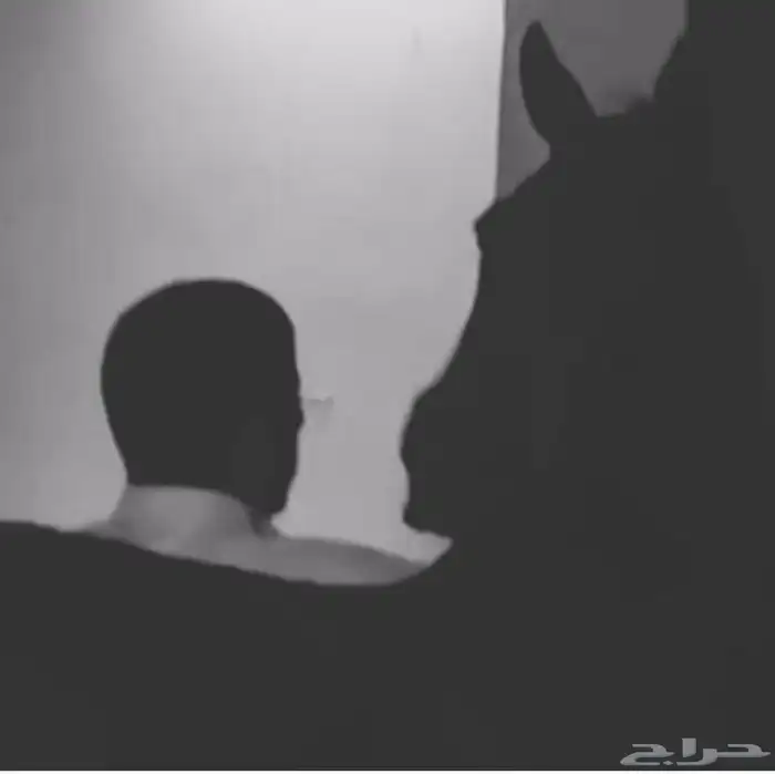 عسف وتشغيل وتعديل اطباع مواكبة 0