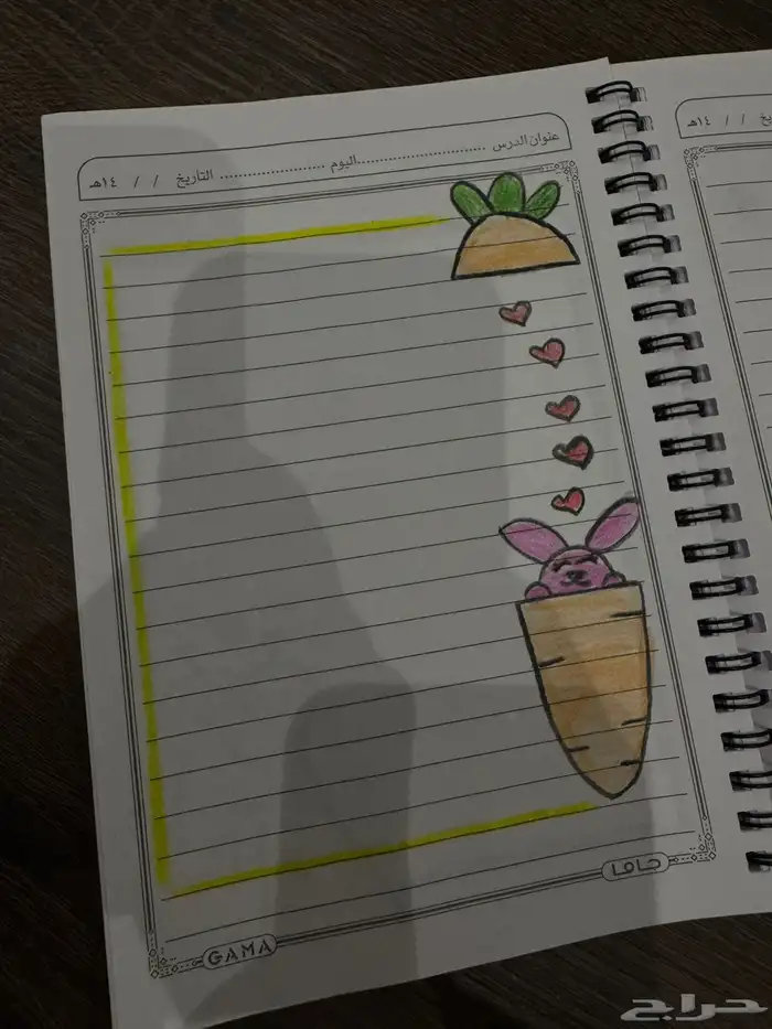 معلمة خصوصي 13