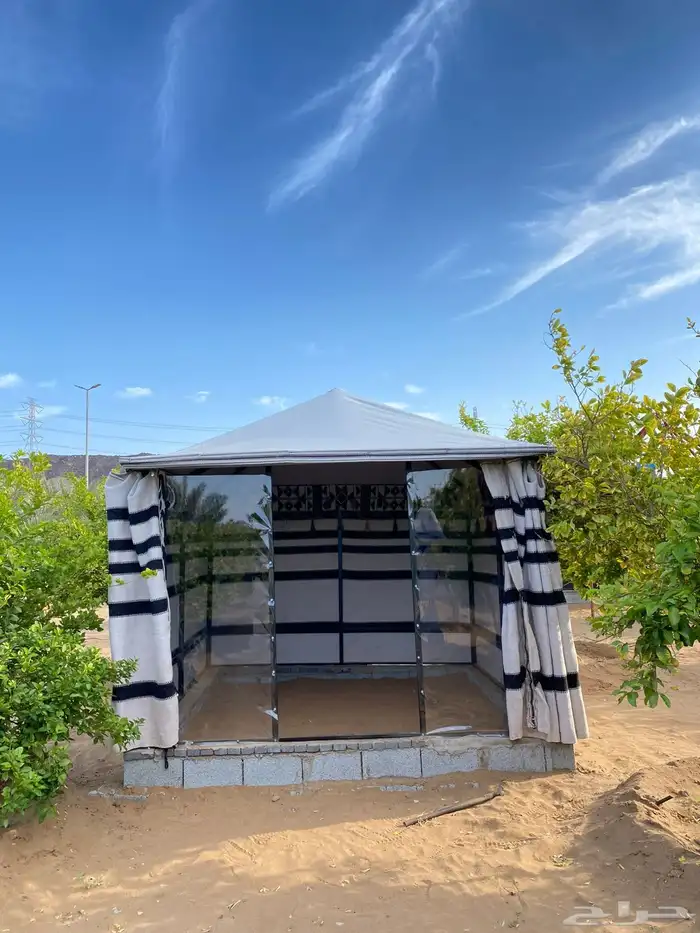 بيت شعر ملكي 8