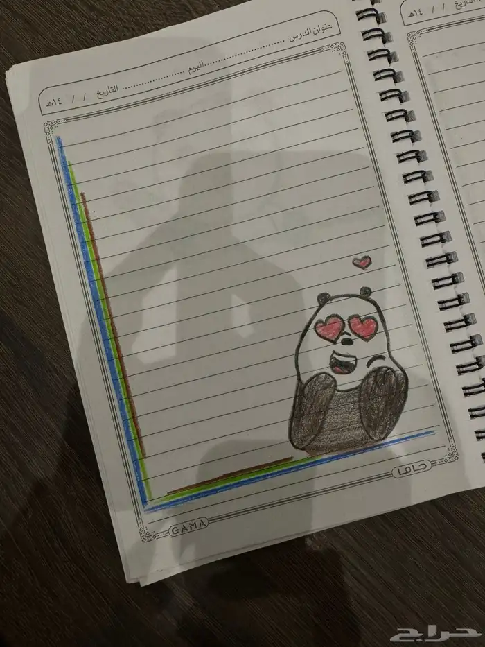 معلمة خصوصي 27