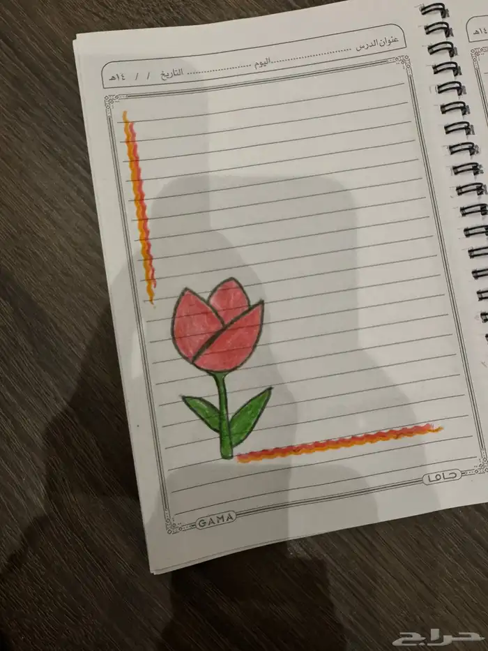 معلمة خصوصي 26