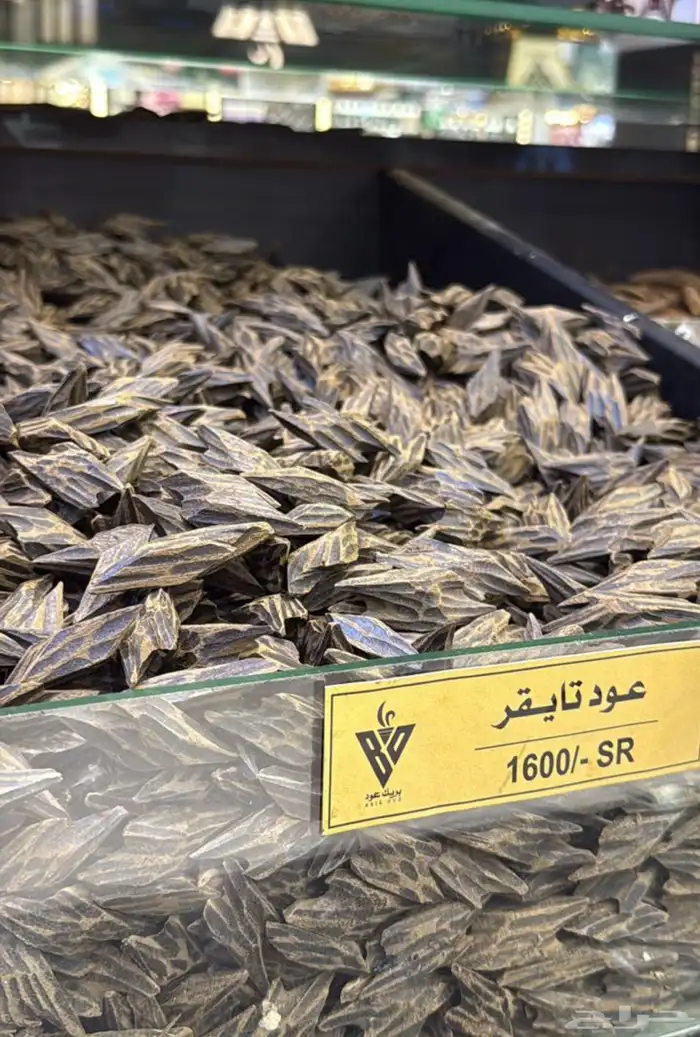 عود جملة الجمله 15
