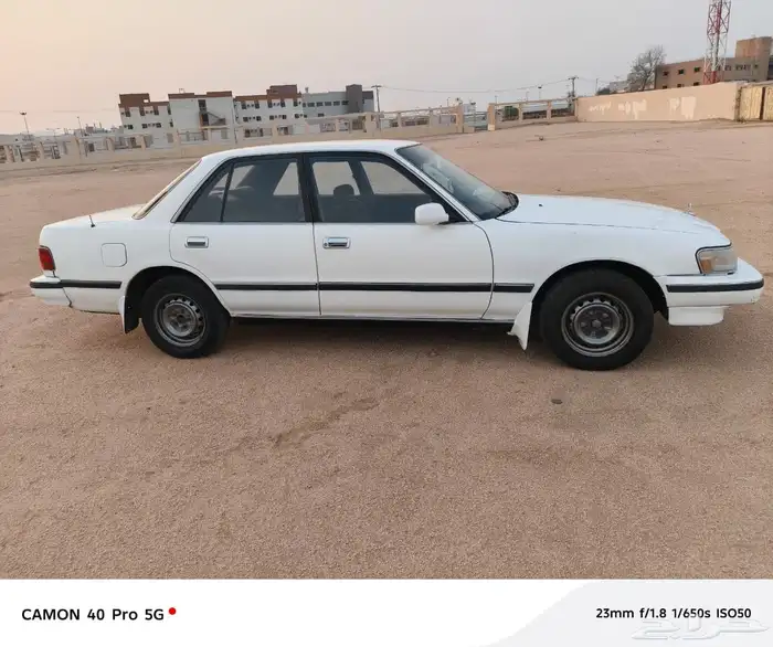 كرسيدا 6