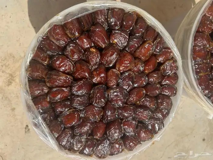 سطول برني وكعيمر 3