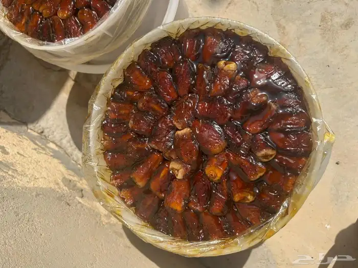 سطول برني وكعيمر 5