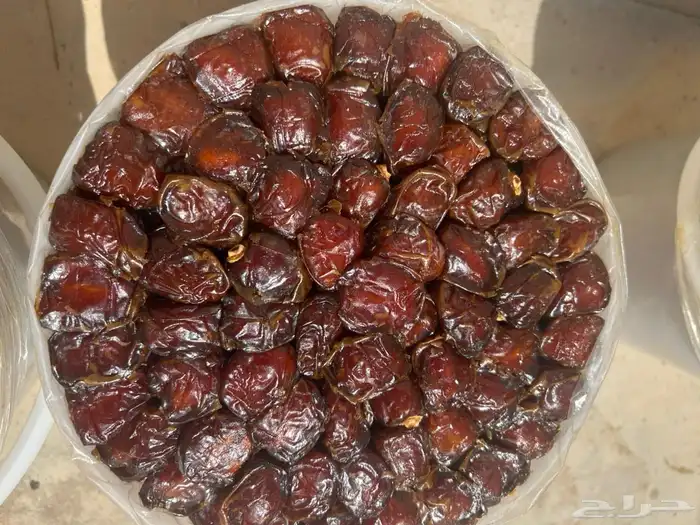 سطول برني وكعيمر 0
