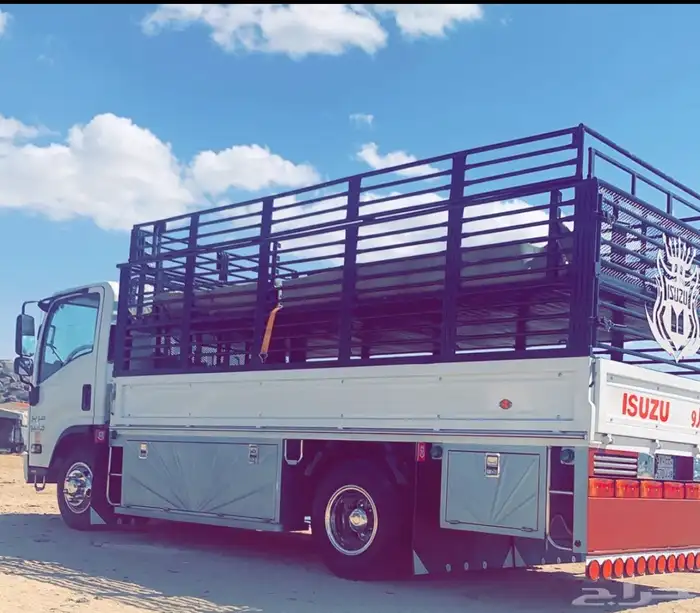 دينه الايجار 0