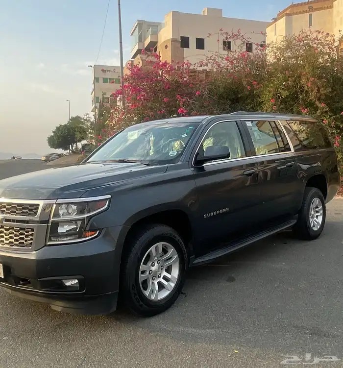 سوبر بان 2019 بدي وكاله 0