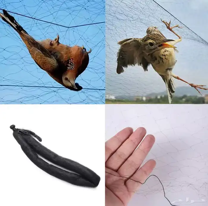 شبكة صيد طيور 0
