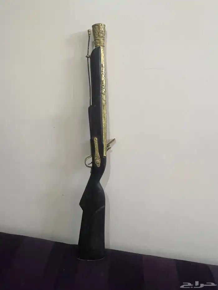 من النوادر بندق ام فتيل 1