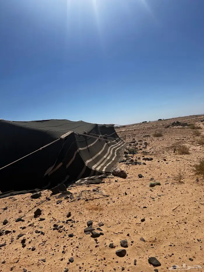 بيت شعر مثولث 2
