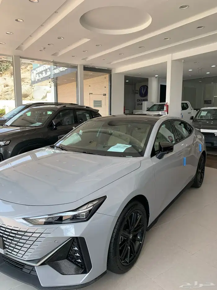 شانجان يوني في ايليت 2026 1