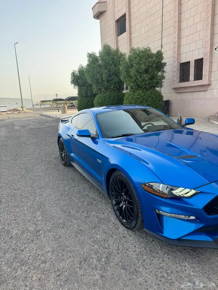 موستنج gt برفورمس بكج 2019 1