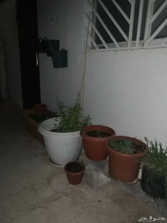 احواض زراعه 0
