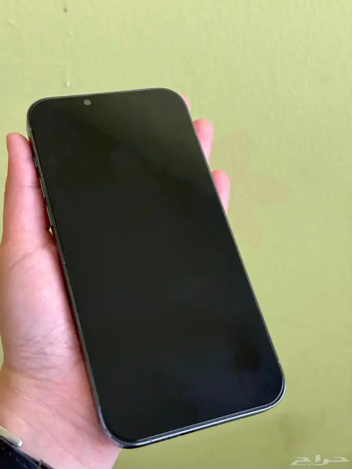 iPhone 13 Pro Max 256GB 1