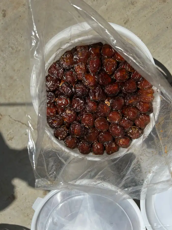 برني رقم واحد ملكي فاخر وكعيمر ملكي فاخر 5