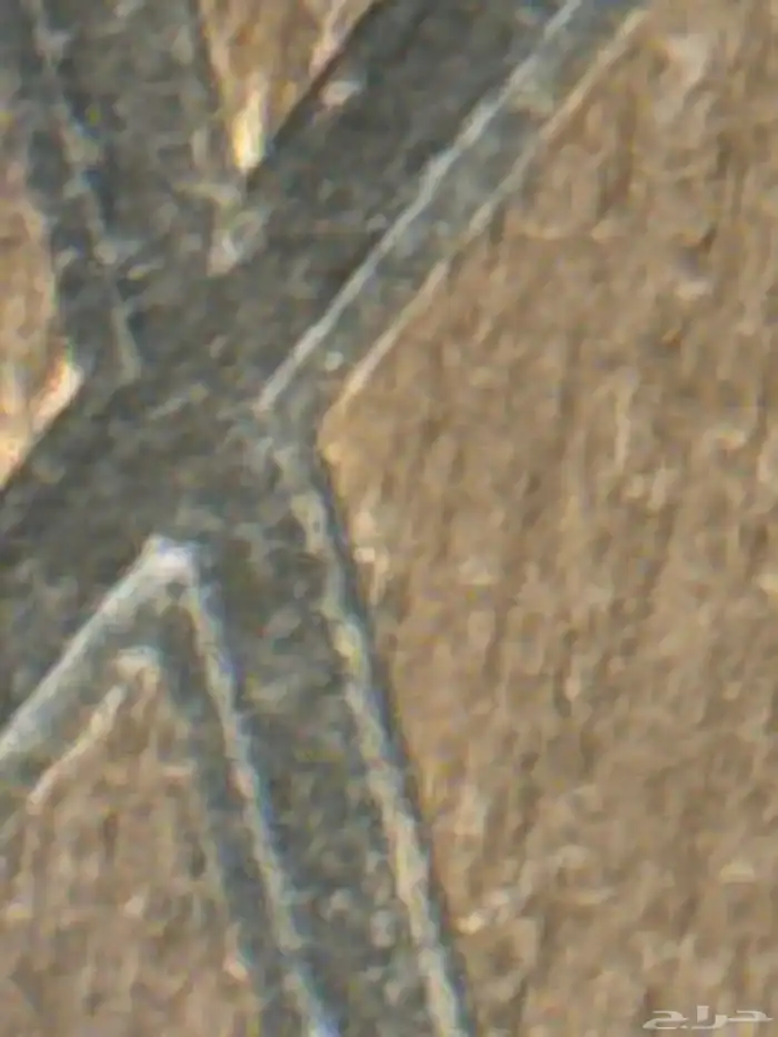 مطلوب دينه متجهه من المدينه الي الدمام نقل حلال 0