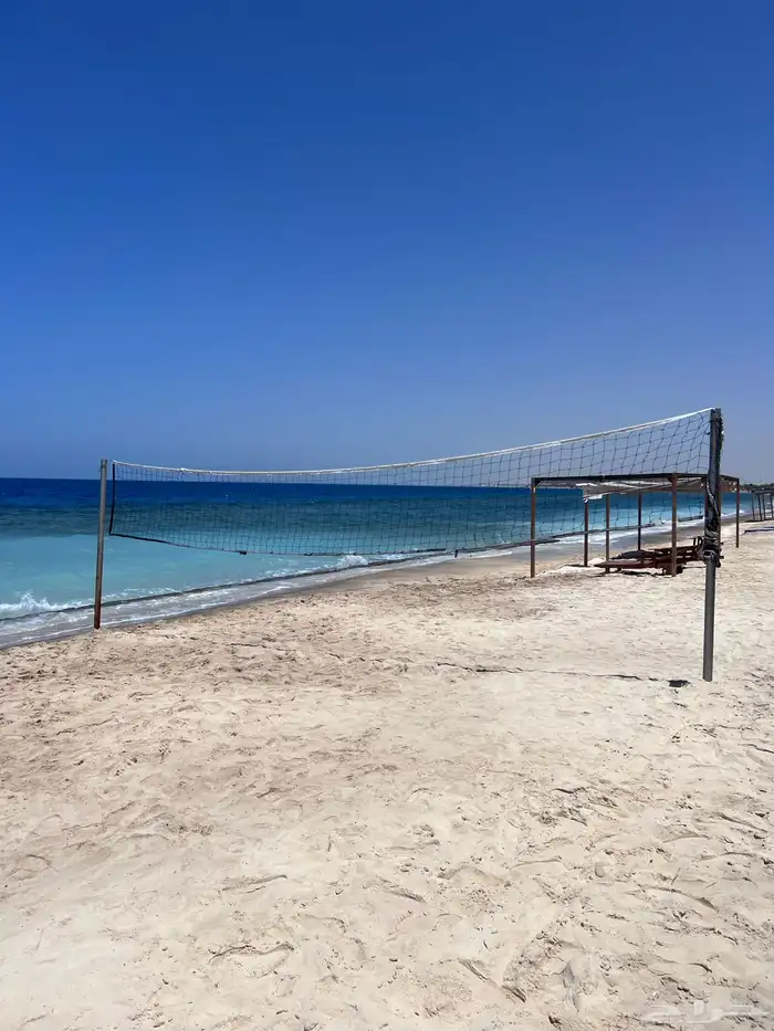 silica sand all sizes are available   including high 16