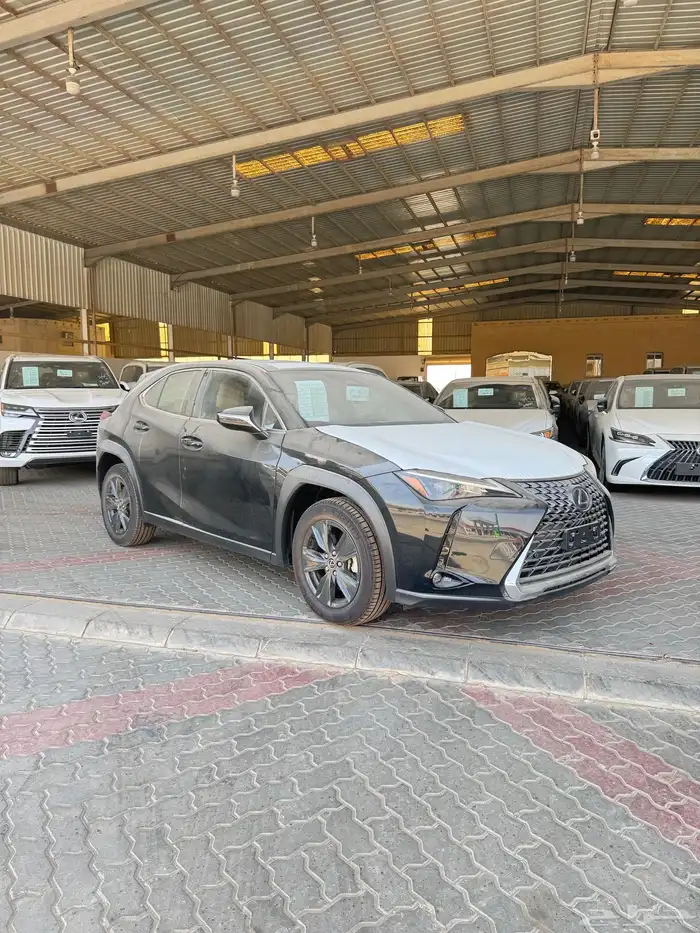 لكزس UX300 فئة AH هايبرد 2024 1