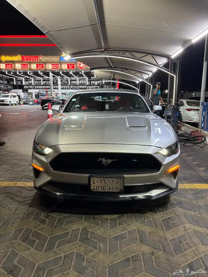 موستنج 2019 0