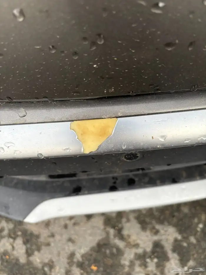 جيلي ازكارا 2022 فل كامل 6