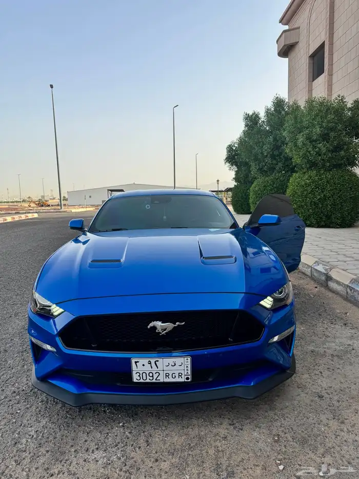 موستنج gt برفورمس بكج 2019 0