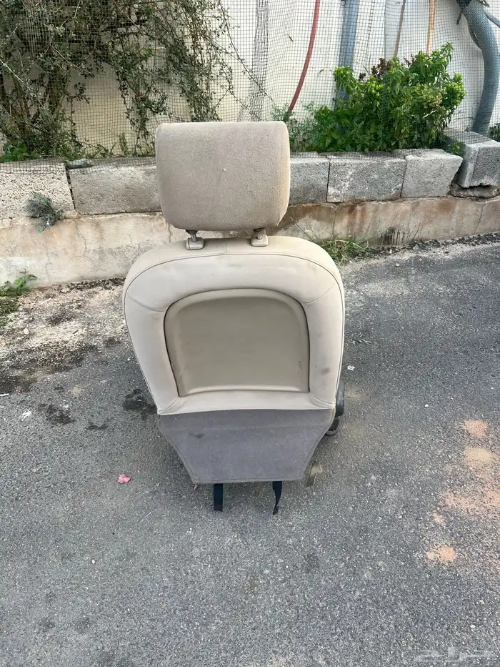 مرتبه اكسنت 2011 1