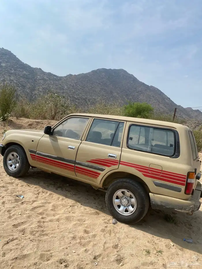 جيب صالون 91 6