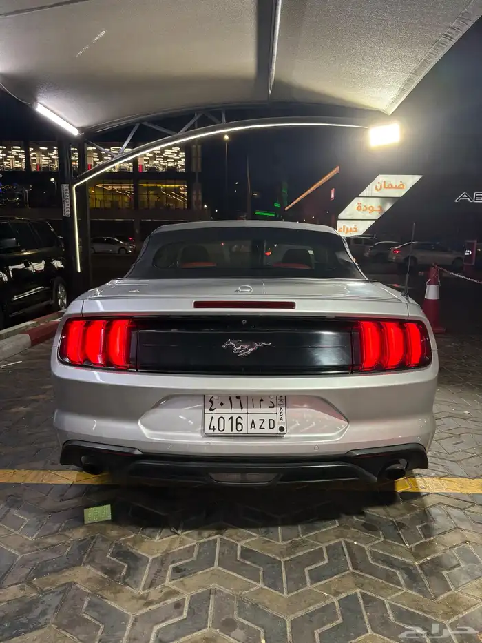 موستنج 2019 3