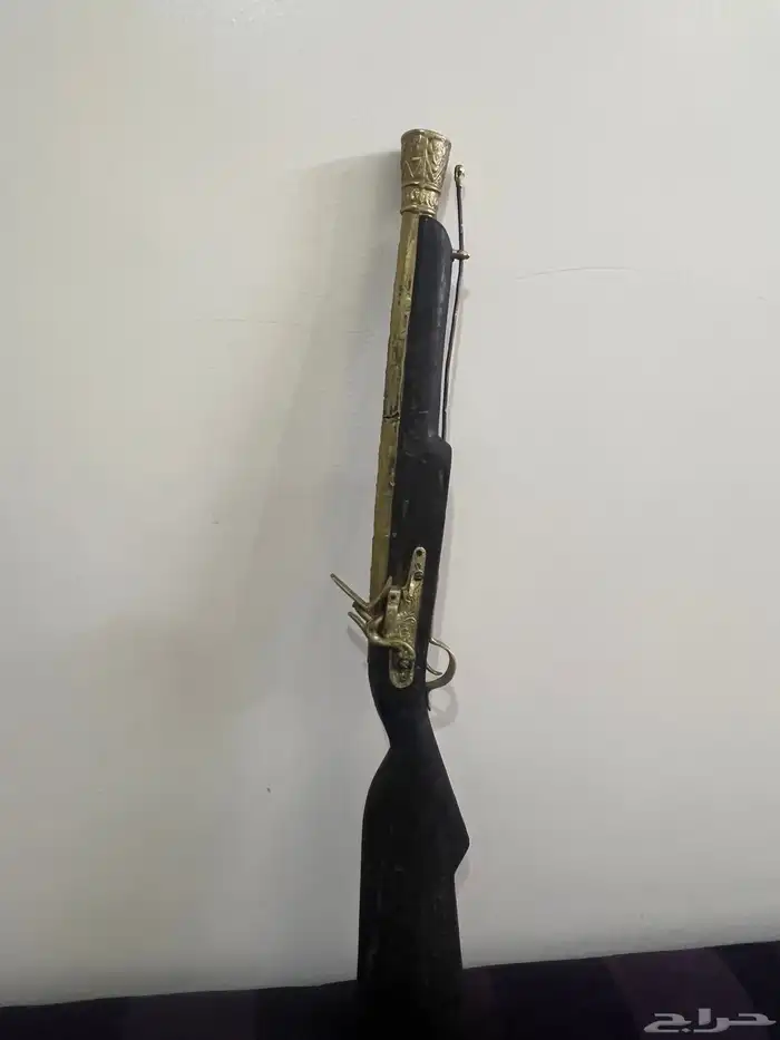 من النوادر بندق ام فتيل 0