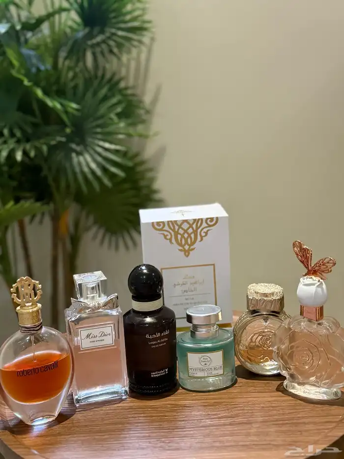 عطور أصلية 0
