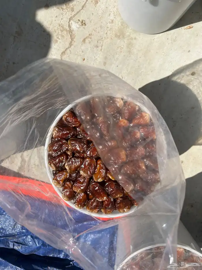 برني رقم واحد ملكي فاخر وكعيمر ملكي فاخر 4