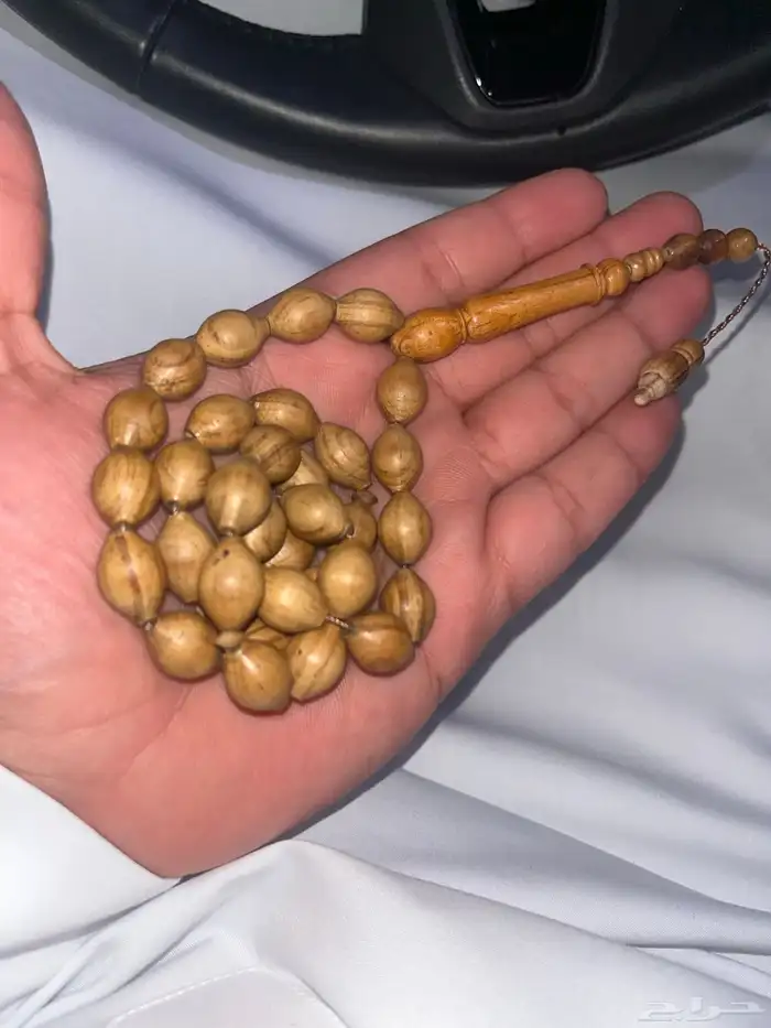 سبحه عضم جمل ويسر وكوك 6