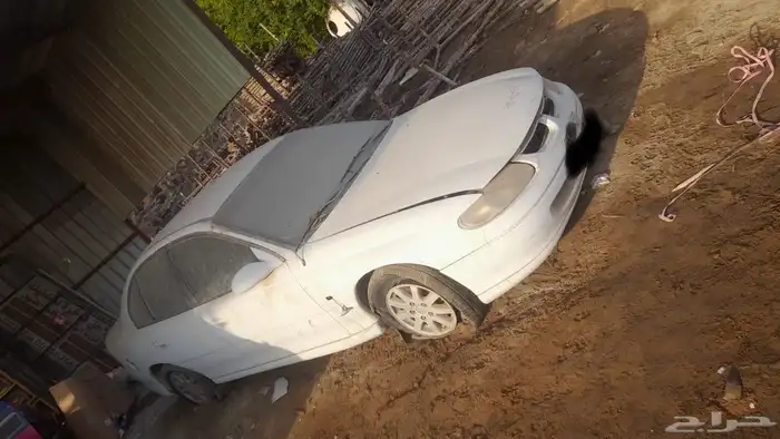 لومينا 1999 للبيع 4