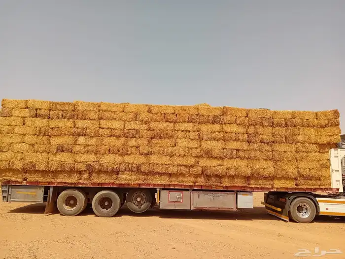 تبن قمح مخزن كوم العدد 4000 0