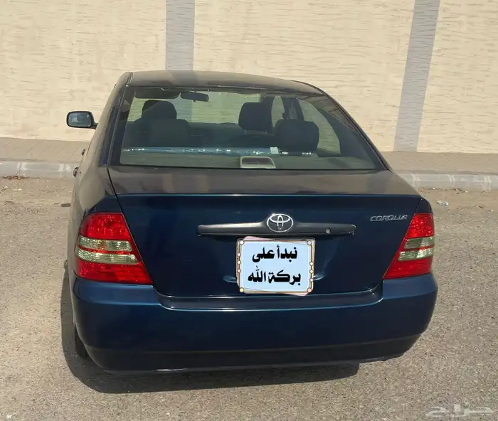 كوريلا 2004 8