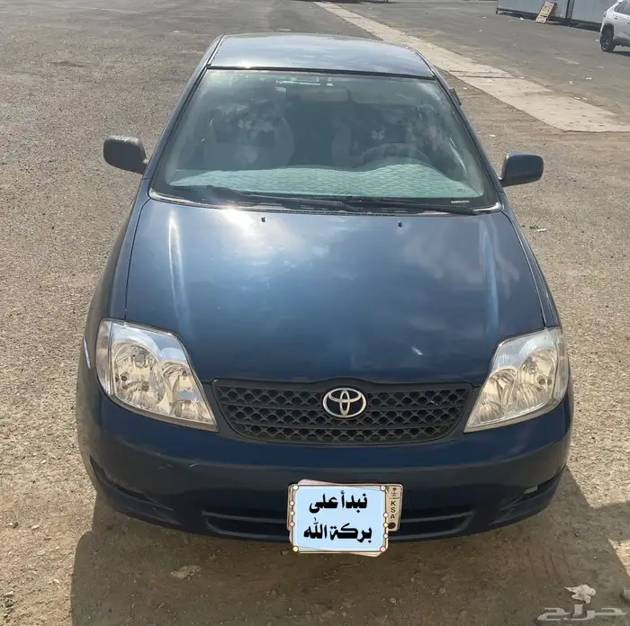 كوريلا 2004 7