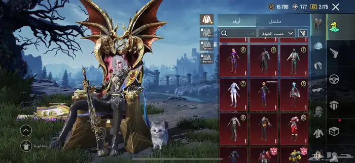 حساب ببجي للبيع 13