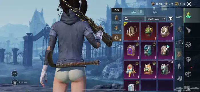 حساب ببجي للبيع 7