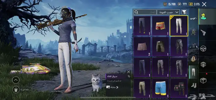 حساب ببجي للبيع 8