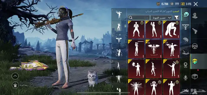 حساب ببجي للبيع 5