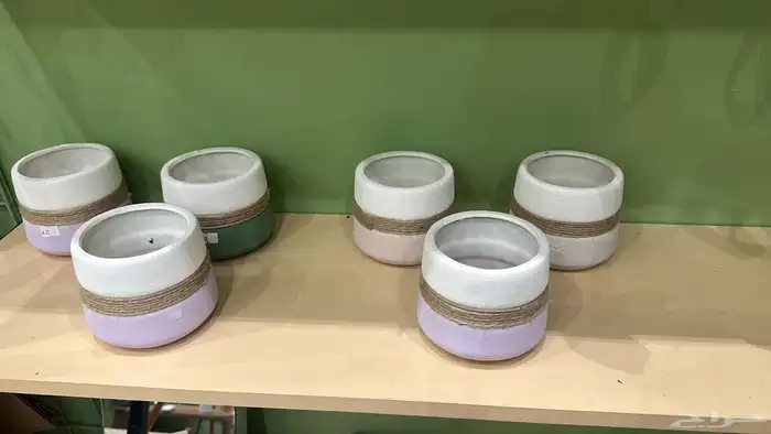 في محل ورد لتقبيل 1